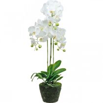 Keinotekoiset orkideat ruukku valkoinen 80cm