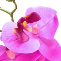 kohteita Keinotekoinen orkidea Phalaenopsis Orchid Pink 78cm