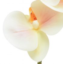 kohteita Keinotekoinen Orchid Cream Oranssi Phalaenopsis 78cm