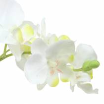 Orkideat valkoinen ruukku keinotekoinen kasvi H35cm