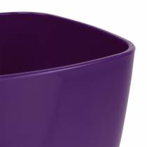 kohteita Orkidearuukku, kiiltävä, Ø12,5cm, violetti