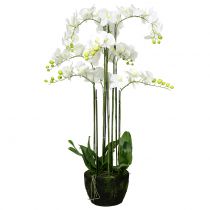 kohteita Valkoinen orkidea 118cm pallossa