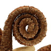 kohteita Palm Male Nature 25 kpl
