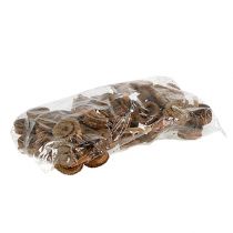 kohteita Palm Male Nature 25 kpl