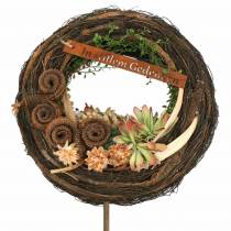 kohteita Palm Male Nature 25 kpl
