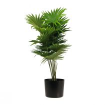 kohteita Palmu koristeellinen viuhka palmu tekokasveja ruukku vihreä 80cm