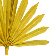 Palmspear Sun mini keltainen 50p