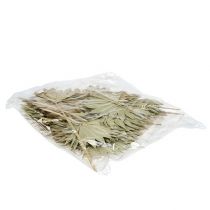 kohteita Palmspear Sun mini nature 50 kpl