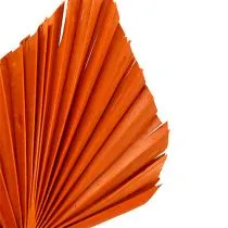 kohteita Palmspear Appelsiini 65 kpl