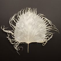 kohteita Kuivattuja koristeellisia palmunlehtiä, valkaistuja, 45 cm, 5 kpl