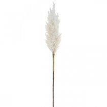 kohteita Pampas Grass Valkoinen Keinotekoinen Kuiva Ruoho Keinotekoiset kasvit