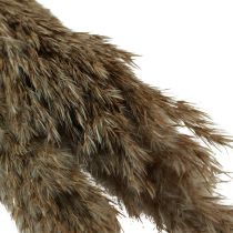 kohteita Pampas-ruohokuivattu koristeellinen kuivanurmi luonnonmukainen 95cm 3 kpl