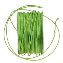 kohteita Paperiköysi Ø2mm 100m omenanvihreä