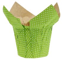 Paperikannu Ø10cm H8cm vihreä 8kpl