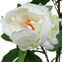 Keinotekoinen Paeonia, pioni ruukussa, koristekasvi valkoiset kukat K57cm