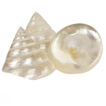 kohteita Mother of Pearl Spinning Etana Merietana koriste 5-6cm 6 kpl