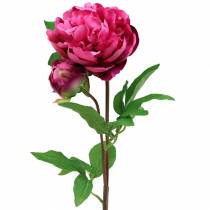 Pioni tekokukka kukka ja silmu purppura magenta 68cm