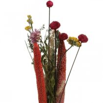 Kuivakukkien kukkakimppu, jossa niittykukkia pinkki tee-se-itse-setti H30-35cm