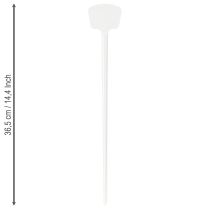 kohteita Kasvitarra 32cm 10kpl.