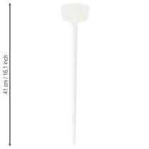 kohteita Kasvitarra 36cm 10kpl.