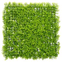 kohteita Keinotekoinen puksipuukasvimatto 55x55 cm koristeelliseen seinäsuunnitteluun