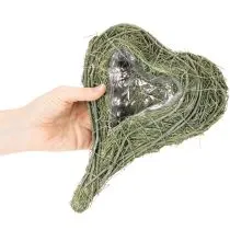 kohteita Luonnonkasvisydän floristiikkaan foliolla, 25 cm