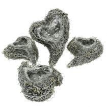 kohteita Kasvi sydänköynnös 15cm x 23cm x 5cm valkoinen 4 kpl