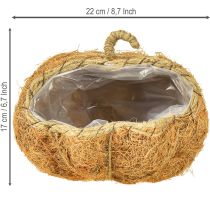 kohteita Kasvikori kurpitsa syyskoriste oranssi Ø22cm K17cm