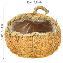 kohteita Kasvikori kurpitsa foliolla syksykoristeena oranssi Ø18cm K15cm