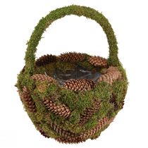 kohteita Kasvikori sammal kuusenkäpykori kahvalla Ø32cm H42cm