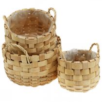 Kasvikori istutuskone koristekori luonto Ø18/23/29cm 3 kpl setti