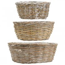 kohteita 3 pajukorin, ruukun ja koristekorin setti, valkoiseksi pesty vintage-tyyli, Ø21,5/26/31 cm kotiin ja puutarhaan