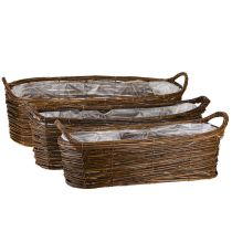 kohteita Kasvikori kahvoilla, soikea ruskea 57/50/42cm, sarja 3 kpl