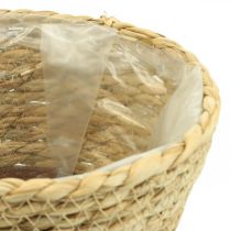 Kasvikori istutuskone meriruohokori deco nature Ø19cm K16cm