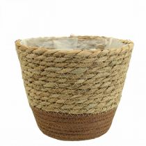 Kasvikori istutuskone meriruohokori deco nature Ø19cm K16cm