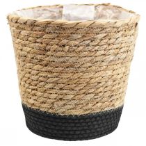 Kasvikori istutuskone meriruohokori deco nature Ø26cm K23cm
