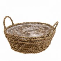 Kasvikori pyöreä meriruohokori kahvoilla koristekori Ø25cm K9cm