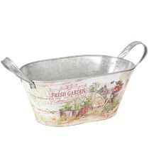 kohteita Metallinen istutuskone soikea Fresh Garden 34,5x14x15,5cm
