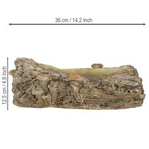 kohteita Istutuslaatikko, valettu kivi, puunrunko, sienet, 36 × 18 × 12,5 cm