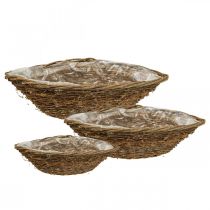 Kasvikulho kasvikori viiniköynnöskori L35/42/46cm sarja 3