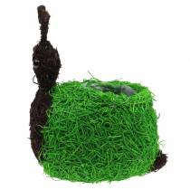kohteita Planter Snail Vine Natural, Vihreä 21x14cm K26cm
