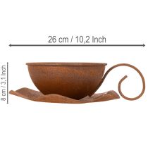 kohteita Istutuskuppi lautasella, ruukku, ruosteenvärinen viimeistely, Ø19,5cm, korkeus8cm