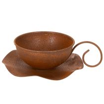 kohteita Istutuskuppi lautasella, ruukku, ruosteenvärinen viimeistely, Ø19,5cm, korkeus8cm