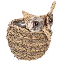 kohteita Käsin punottu pöllökoristeinen ikkunalaudalle, 18 cm