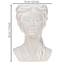 kohteita Ruukku naaras rintakuva vintage istutuskone valettu kivi H20cm
