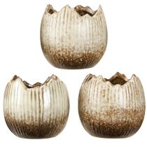 kohteita Plant Pot Keraaminen Muna Murtunut Kerma Ruskea Ø9,5cm 3 Kpl