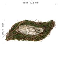 kohteita Plant Wave Vines -pieni kukkamalja sammalella 31 × 15 × 7 cm