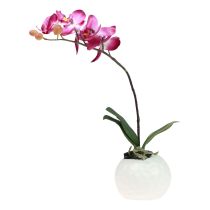 Keinotekoiset orkideat ruukussa Phalaenopsis tekokukat orkideat pinkki 34cm