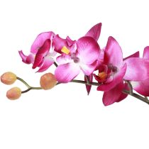 kohteita Keinotekoiset orkideat ruukussa Phalaenopsis tekokukat orkideat pinkki 34cm