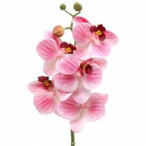 Keinotekoinen orkideahaara Phaelaenopsis Pink H49cm